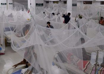 গত ২৪ ঘণ্টায় ডেঙ্গু কেড়ে নিল আরও ৮টি প্রান