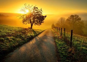 আজ বছরের সবচেয়ে ছোট দিন ও সবচেয়ে বড় রাত